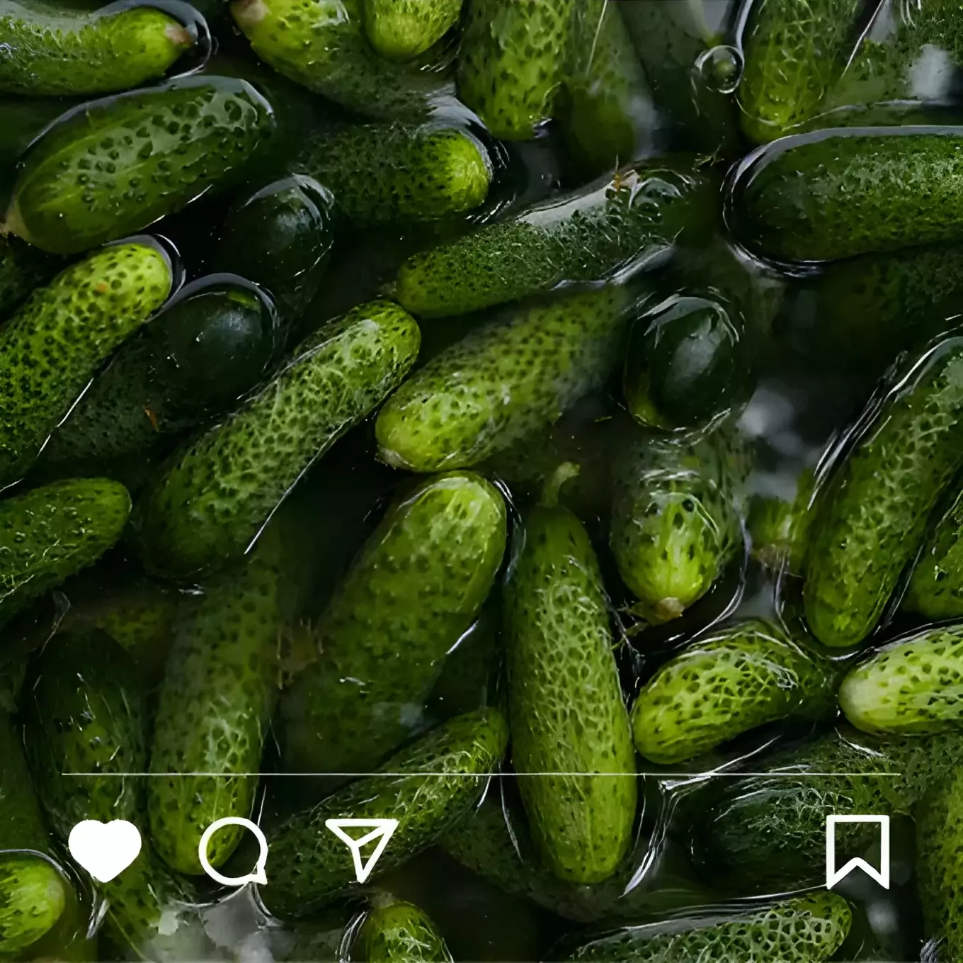 green cucumbers